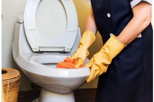 Καθαρισμός λεκάνης τουαλέτας.