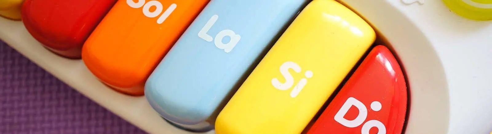 Musical Toys for Babies