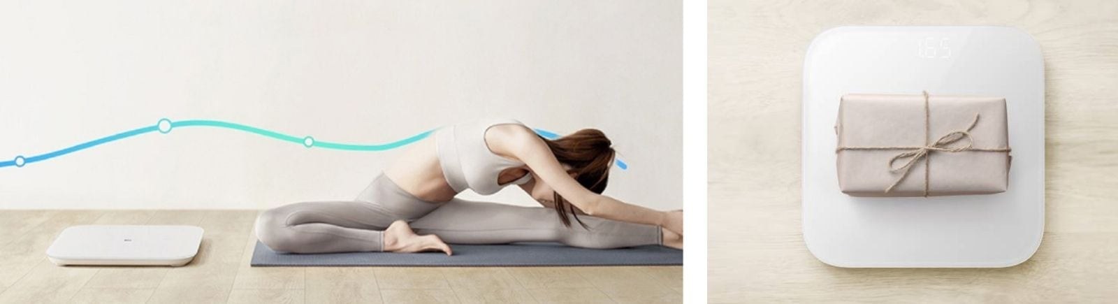 Body Scales Body Scales