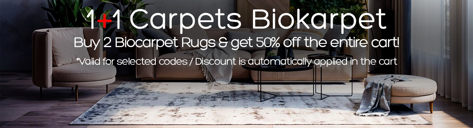 1+1 Carpets