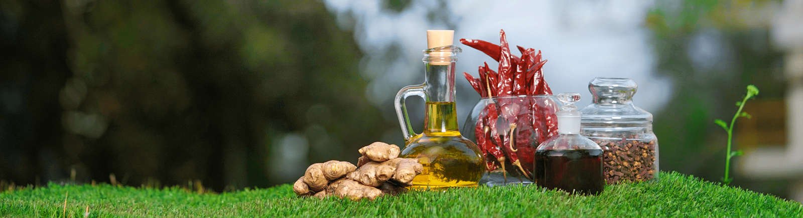 Λαδόξυδα