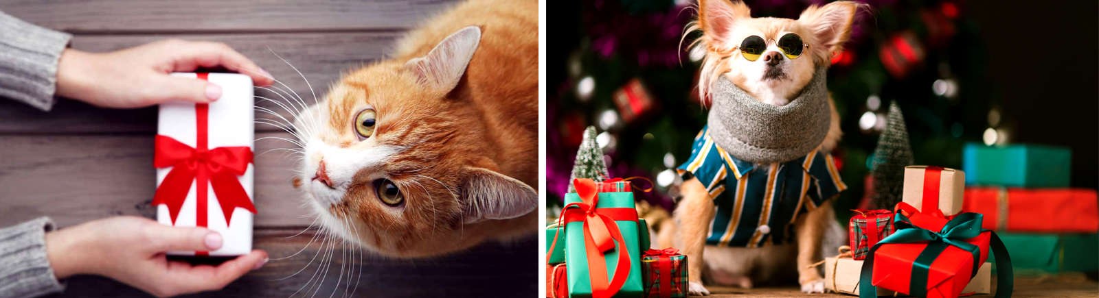 Δώρα για Κατοικίδια