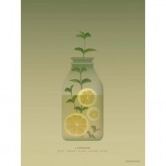 Πόστερ Lemonade VV-F2014602M 30x40cm Olive-Multi Vissevasse