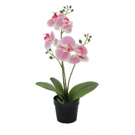 Artificial Plant In A Pot Orchid 1 022415 H35cm Pink-Green GREEN-PINK