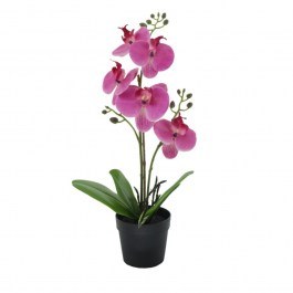 Artificial Plant In A Pot Orchid 2 022416 H35cm Purple-Green PURPLE-GREEN
