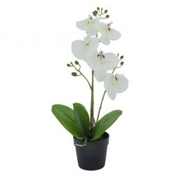 Artificial Plant In A Pot Orchid 3 022417 H35cm White-Green WHITE-GREEN