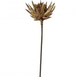 Λουλούδι - Κλαδί Edulis 030735 78cm Gold GOLD