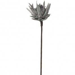 Λουλούδι - Κλαδί Edulis 030736 78cm Silver SILVER