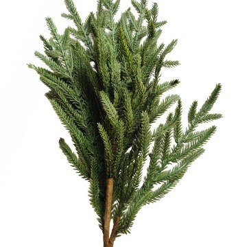 Χριστουγεννιάτικο Κλαδί Verte 035474 56cm Green