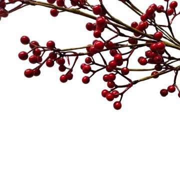 Χριστουγεννιάτικο Κλαδί Με Γκι Wish 035477 80cm Red