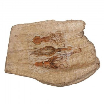 Room Decoration With Squid Design FTE347K6 16x10x4,5cm Beige Espiel