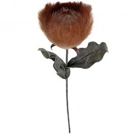 Artificial Flower Pampass MAP137K6 80cm Brown Espiel BROWN