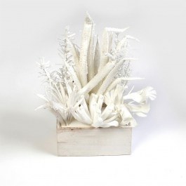 Artificial Succulent In A Pot MAP235K4 20x20x45cm White Espiel WHITE