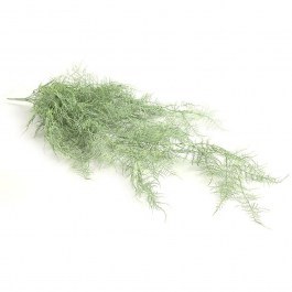 Decorative Flower Monilophyta 013.780850 105cm Sage Green SAGE GREEN