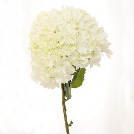 Artificial Branch Hydrangea 012.862391424 D30x111cm White WHITE
