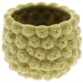 Plant Pot 3D Fruits 012.862698008 14,5x11cm Olive OLIVE