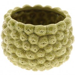 Plant Pot 3D Fruits 012.862698010 21x15,5cm Olive OLIVE