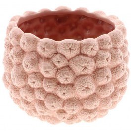 Plant Pot 3D Fruits 012.862698006 21x15,5cm Pink PINK
