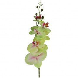 Artificial Flower - Branch Orchid 013.796072 83cm Green GREEN