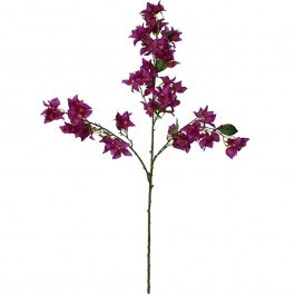 Artificial Flower - Branch Bougainvillea 012.862474029 34x10x104cm Purple PURPLE