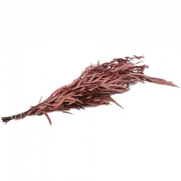 Dried Bouquet Eucalyptus 012.311901076 150gr Red