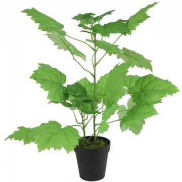 Artificial Plant African Sparmannia 013.807776 D43x55cm Green
