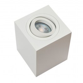 Lighting Spot Ceiling S039 White WHITE