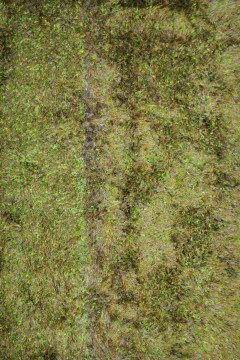 Carpet Polyester Shaggy 9027 Green Assorted