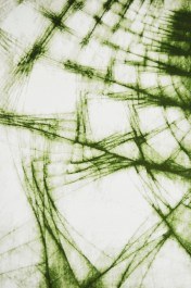 Χαλί Bell Air 7503 Beige-Green BEIGE-GREEN