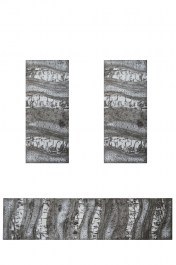 Carpet Tango 7805 Silver SILVER