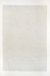 Carpet Carolina E682B2A Light Grey 200X290 Ezzo LIGHT GREY