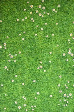 Χαλί Heaven 5409 Green