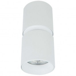 Ceiling Lamp - Spot S159 D6x12,1cm 1xGu10 40W White WHITE