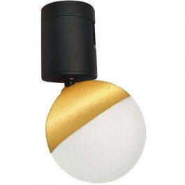 Rail Spot 23188 D6cm Dim Led 281lm 5W 3000K Gold GOLD