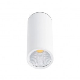 Ceiling Light - Spot Rel 64198 LED 15W 2700K 1340Lm White Faro Barcelona WHITE
