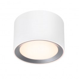 Φωτιστικό Μπάνιου Οροφής Landon 8 2110660101 2700K 600Lm 12,5x8,2cm White Nordlux WHITE