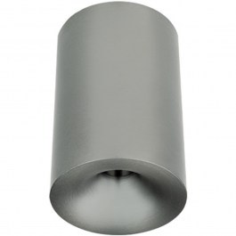 Φωτιστικό Οροφής - Σποτ 25297 6x10,5cm Led 1330lm 10W 3000K Silver SILVER