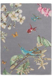 Χαλί Hummingbird 037804 Grey Wedgwood GREY
