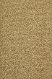 Χαλί Faux Silk Affinity 5574-32 Gold Angelo GOLD