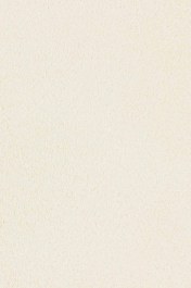 Χαλί Faux Silk Zen 5575-03 Ivory Angelo IVORY