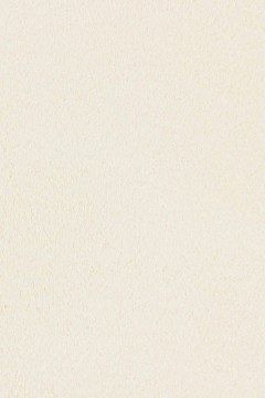 Carpet Faux Silk Zen 5575-03 Ivory Angelo