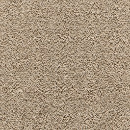 Fitter Carpet Cashmere Velvet 38 13mm Dark Beige DARK BEIGE