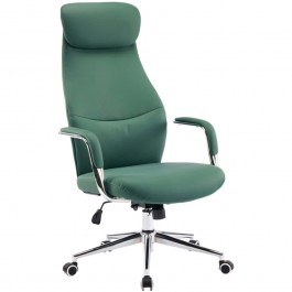 Director's Office Chair Ferka 033-000029 64x71x120/128cm Green GREEN