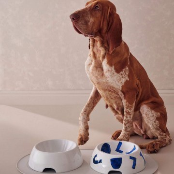 Dog Food Bowl Itsumo NF15L 2 D25x8cm 1200ml White-Blue Alessi