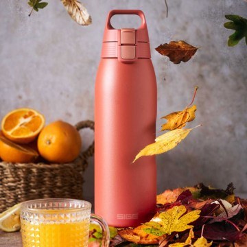 Παγούρι Ισοθερμικό Therm One 6021.80 1lt Red Sigg