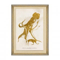 Κάδρο Caribbean Sea Life - Cephalapoda FA13179 50X70 MindTheGap