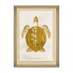 Κάδρο Caribbean Sea Life - Chelonioidea FA13180 50X70 MindTheGap