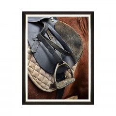 Frame Equitation I FA13135 60X80 MindTheGap