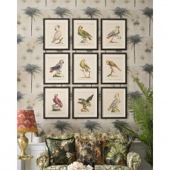 Κάδρο Parrots Of Brasil I FA13211 40X50 MindTheGap