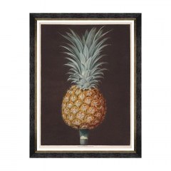 Κάδρο Pineapples Of Antigua - The Antigua Pine By Brookshaw FA13199 60X80 MindTheGap